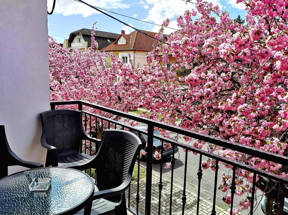 Apartmán Marcipán Hévíz Exteriér fotografie